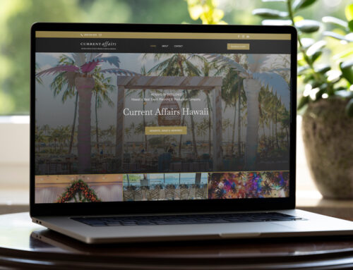Website Design, Development & SEO