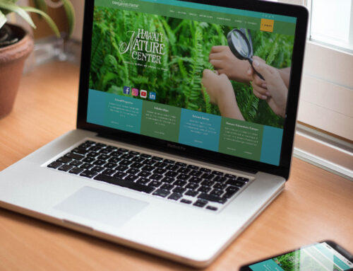Website Design, Development & SEO
